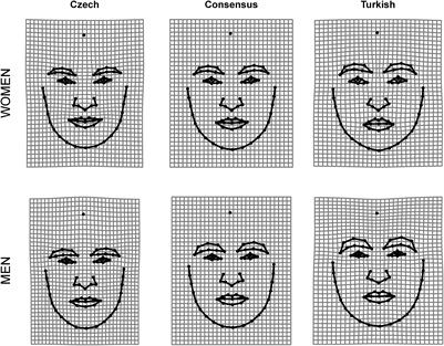 Toward a New Approach to Cross-Cultural Distinctiveness and Typicality of Human Faces: The Cross-Group Typicality/ Distinctiveness Metric